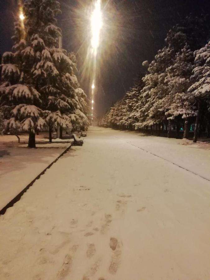 Enjoy The Hostel Батуми Экстерьер фото